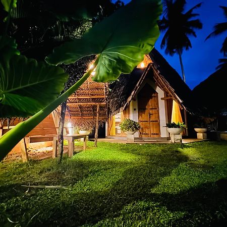 Turtle Wood Cabin Tangalle Extérieur photo