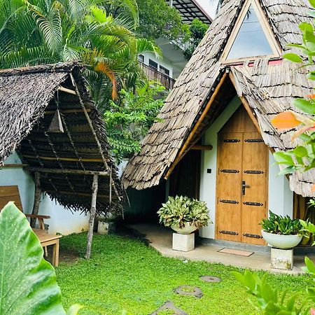 Turtle Wood Cabin Tangalle Extérieur photo