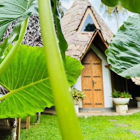 Turtle Wood Cabin Tangalle Extérieur photo