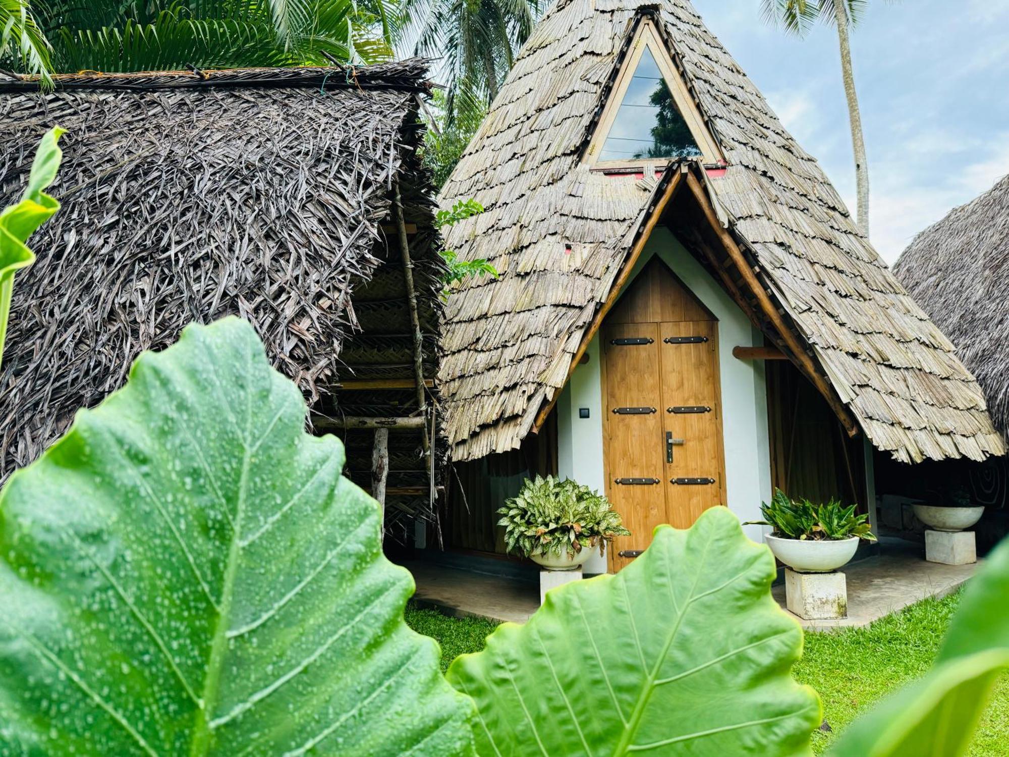 Turtle Wood Cabin Tangalle Extérieur photo