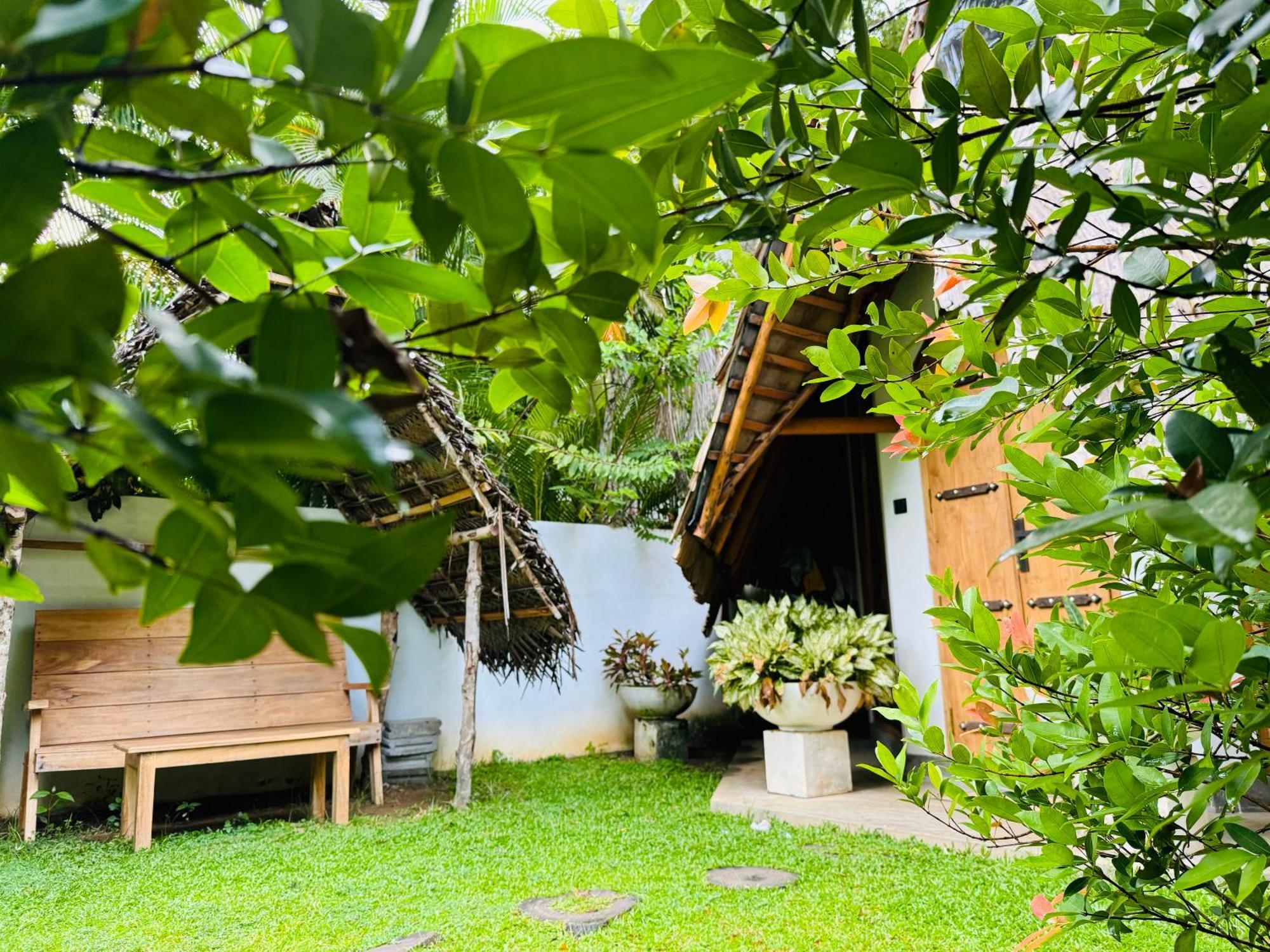 Turtle Wood Cabin Tangalle Extérieur photo
