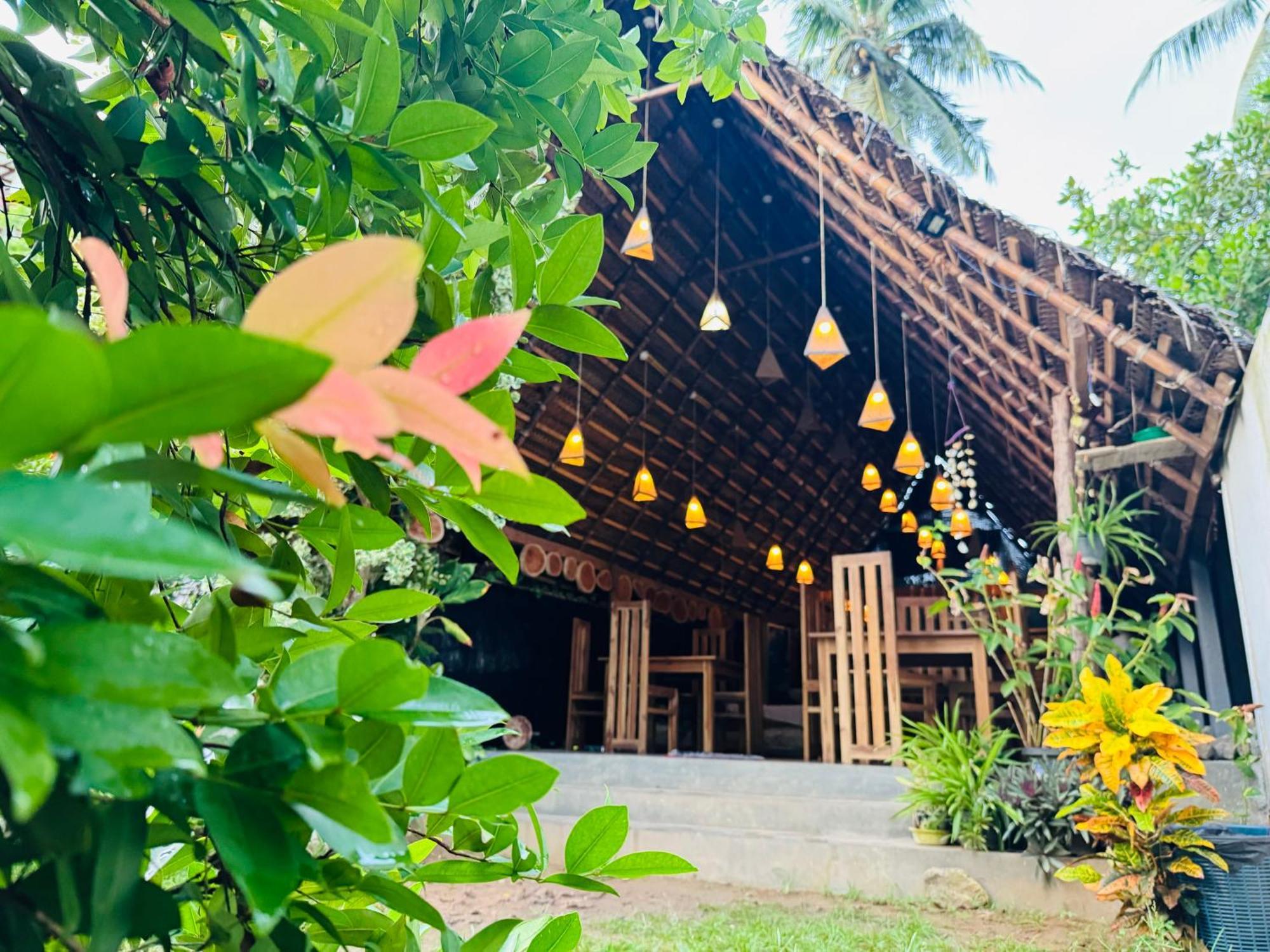 Turtle Wood Cabin Tangalle Extérieur photo