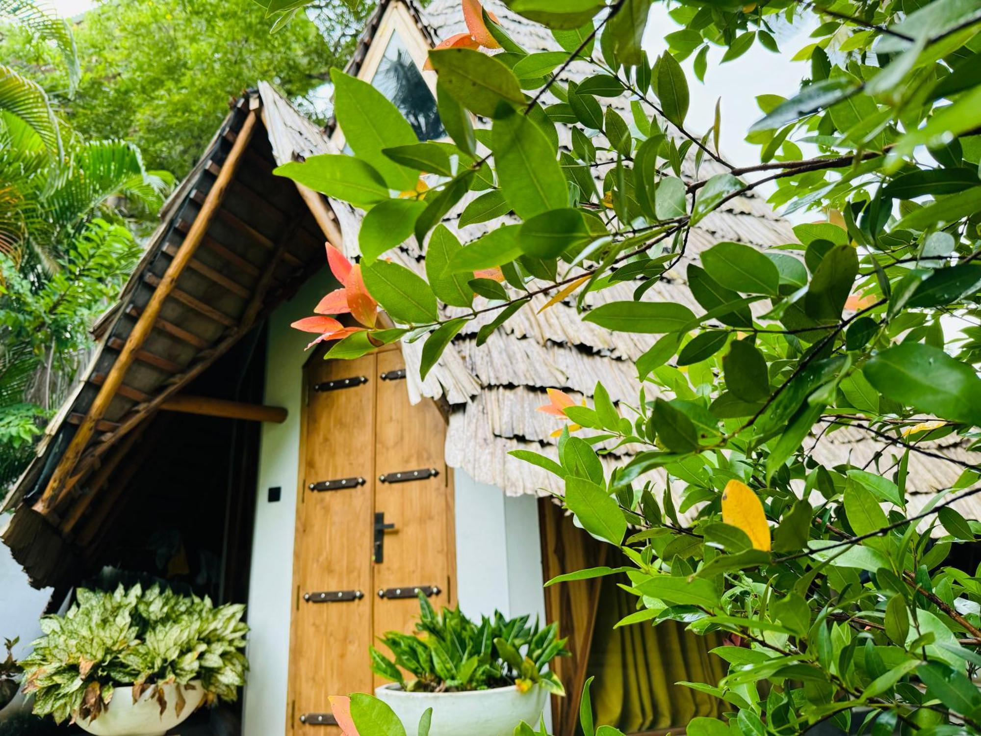 Turtle Wood Cabin Tangalle Extérieur photo