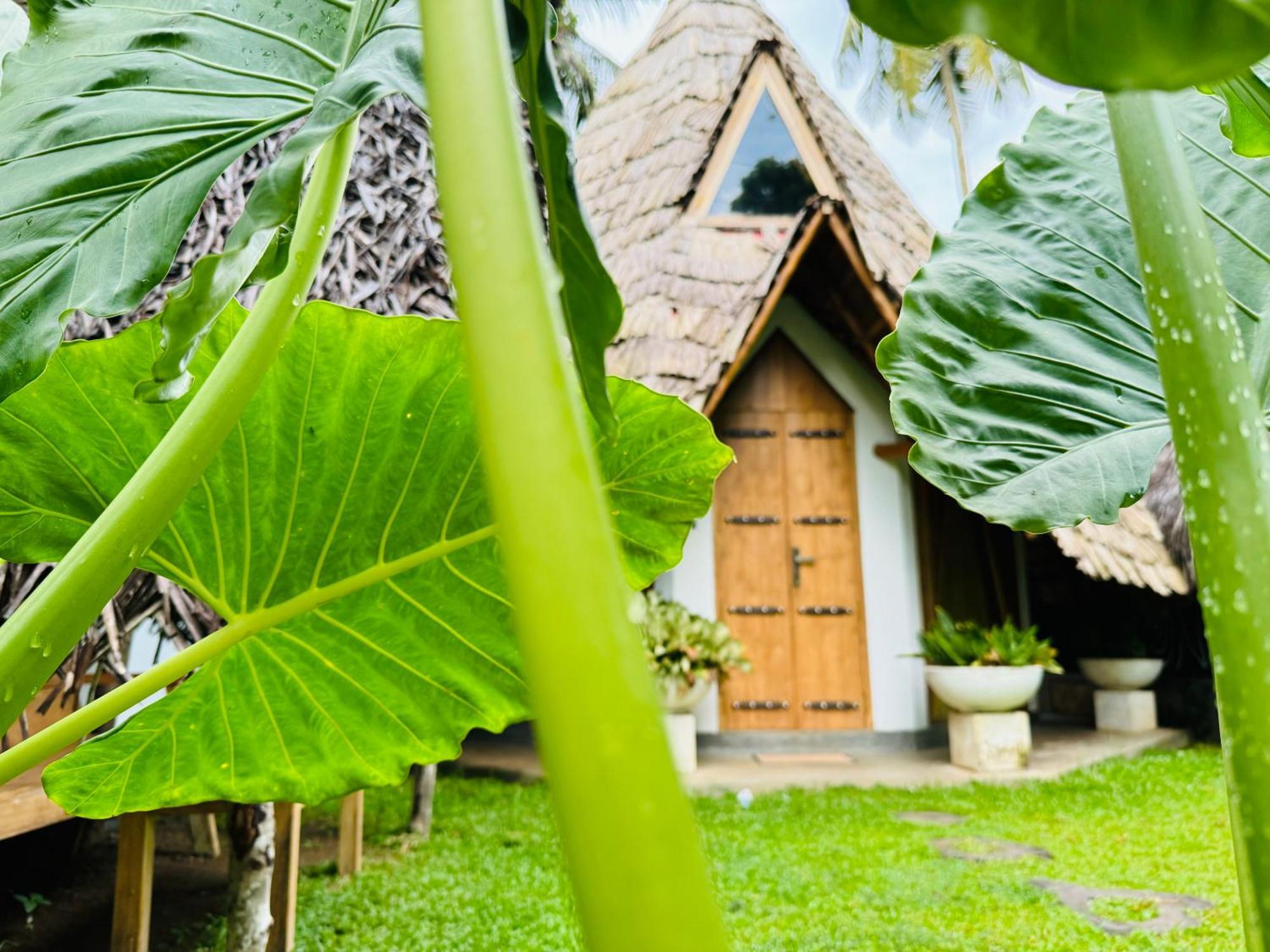 Turtle Wood Cabin Tangalle Extérieur photo
