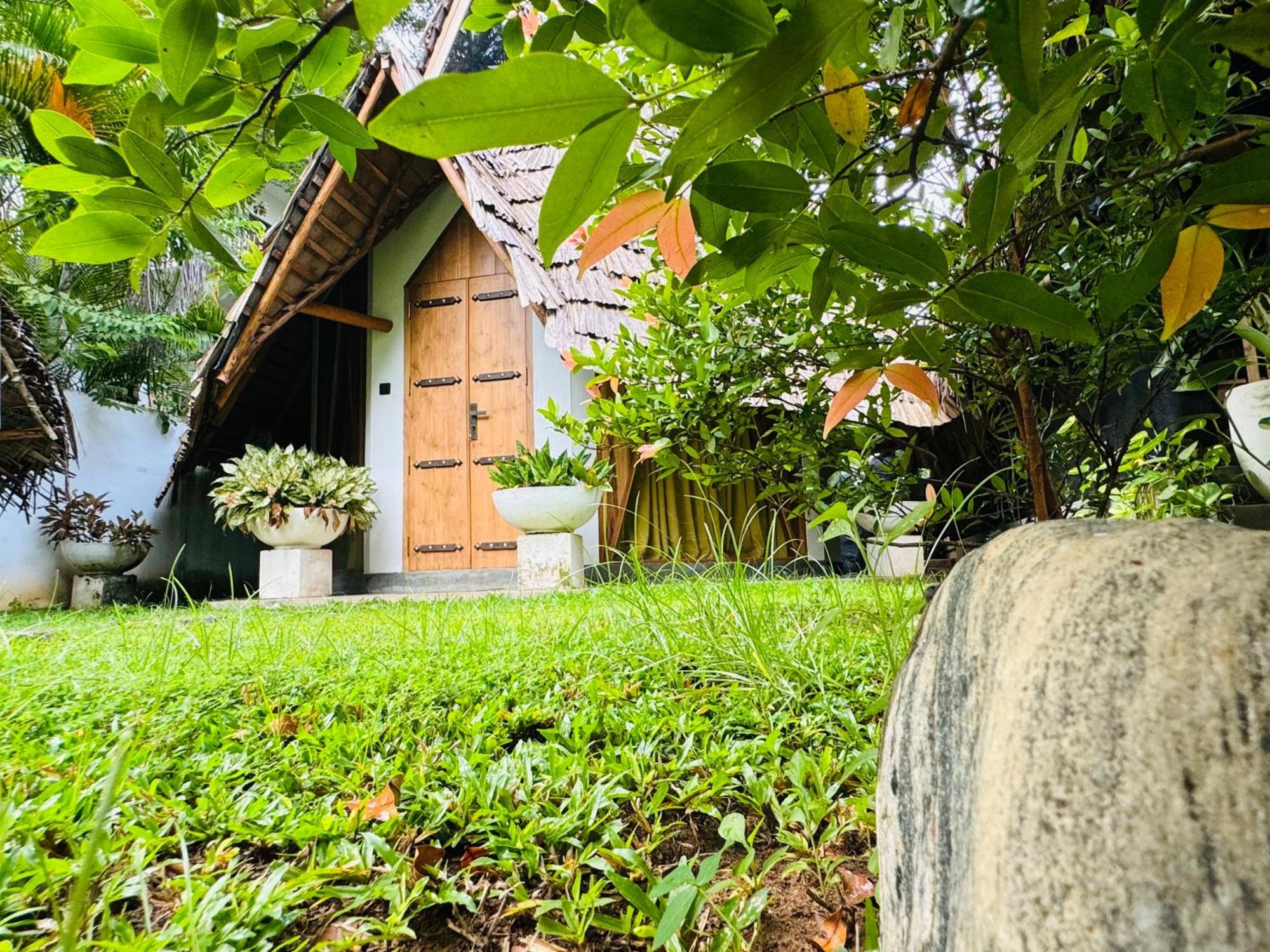 Turtle Wood Cabin Tangalle Extérieur photo