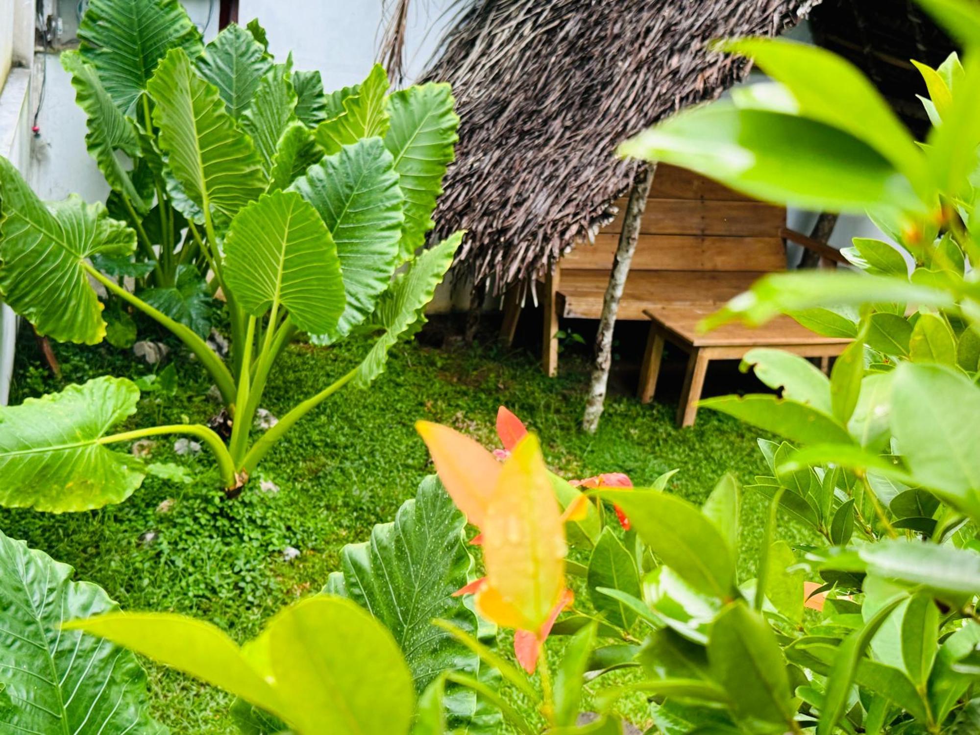 Turtle Wood Cabin Tangalle Extérieur photo