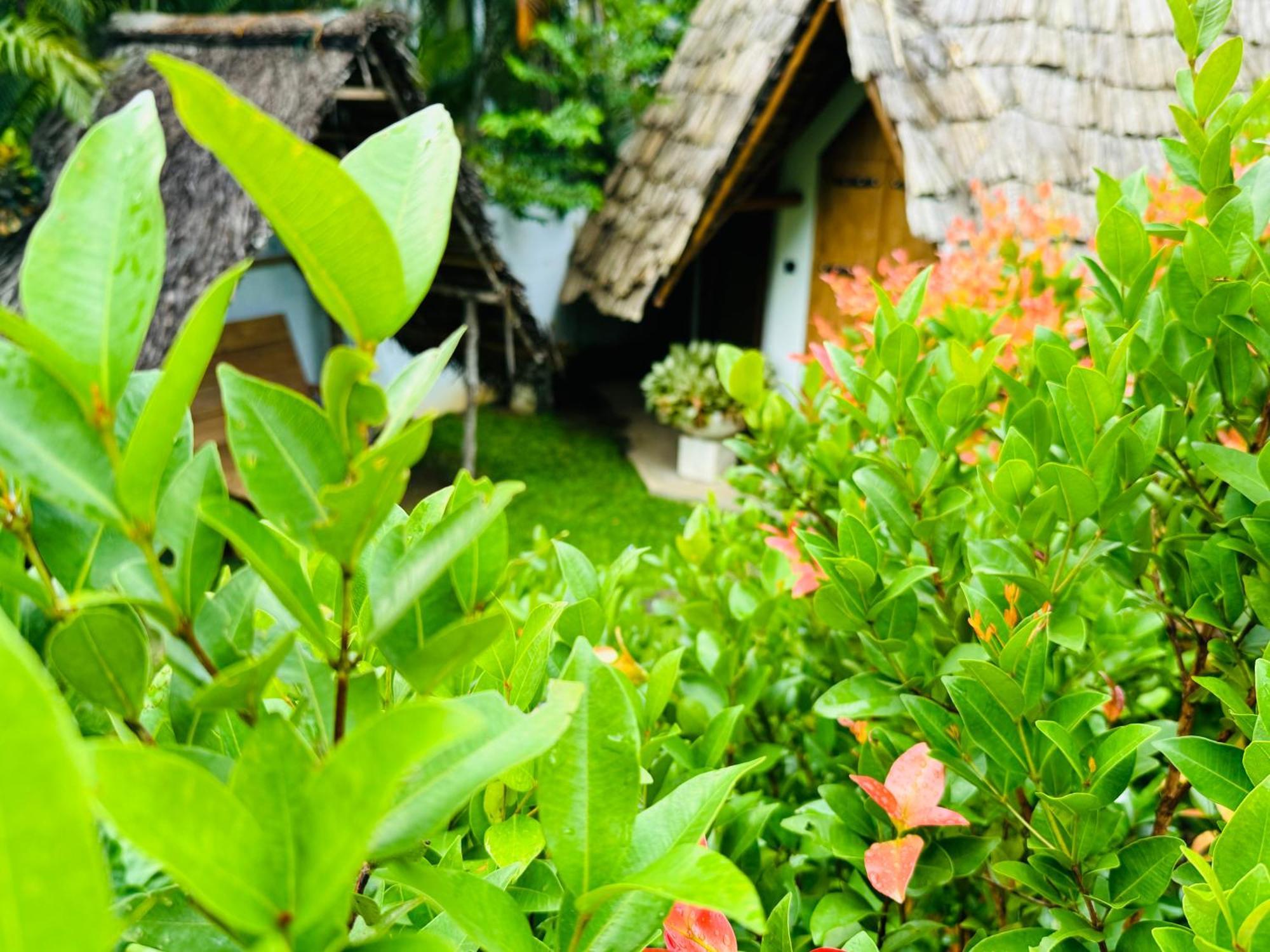 Turtle Wood Cabin Tangalle Extérieur photo